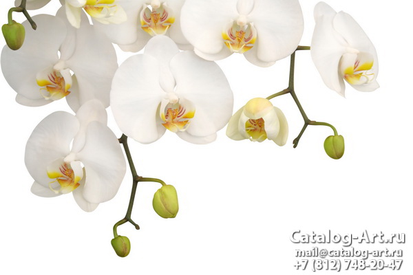 Натяжные потолки с фотопечатью - Белые орхидеи 28